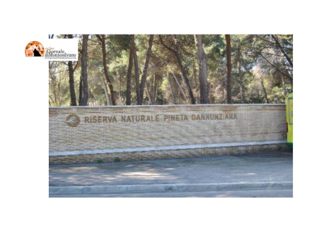 Pescara/Riserva Pineta Dannunziana, tre interventi di micro forestazione e restauro forestale