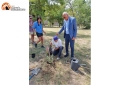 Pescara/parco Cocco. 3 le piante di roverella, "non accetto accuse palesemente infondate"