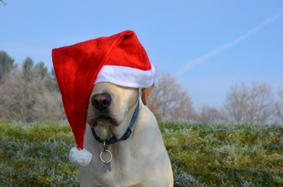 Montesilvano. Babbo Natale passa al Parco della Libertà