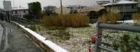 luogo del sinistro