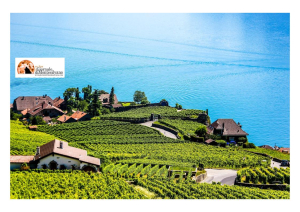 Abruzzo. 6 milioni per la vitivinicoltura con il bando ristrutturazione e riconversione dei vigneti