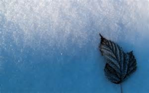 Abruzzo, nasce la commissione emergenza neve