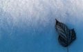 Abruzzo, nasce la commissione emergenza neve