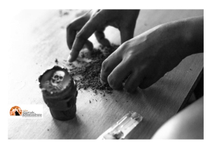 Roseto degli Abruzzi/anti droga, pescarese trovato con 13 ovuli negli slip