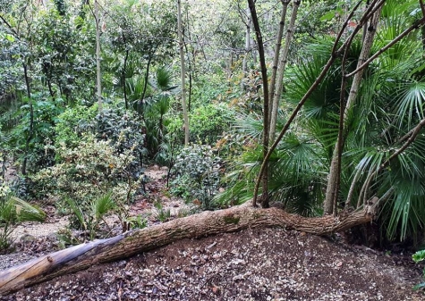Parco dei Ligustri, Primo Maggio tra la natura.