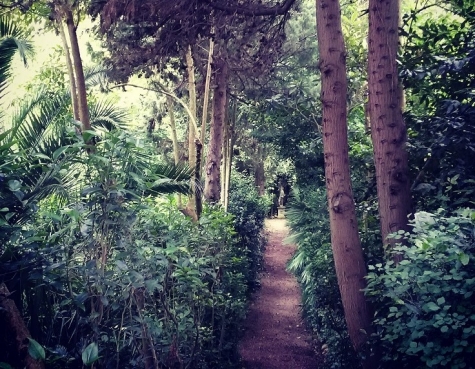 Parco dei Ligustri (PE). Caccia al Tesoro Botanico.