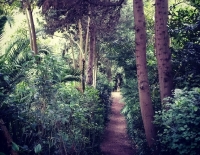 Parco dei Ligustri (PE). Caccia al Tesoro Botanico.