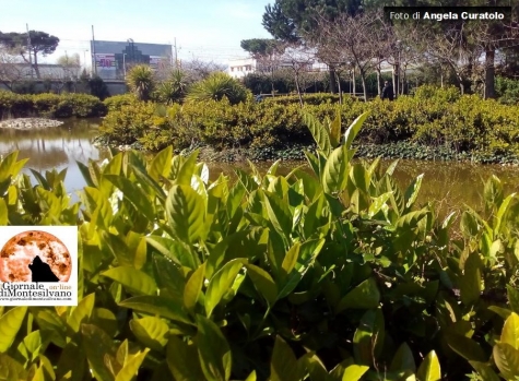 Parco della Libertà