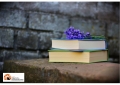 Montesilvano: Book and more