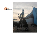 Giulianova. Arrivato ieri in piazza Giovanni XXIII il tradizionale albero di Natale.