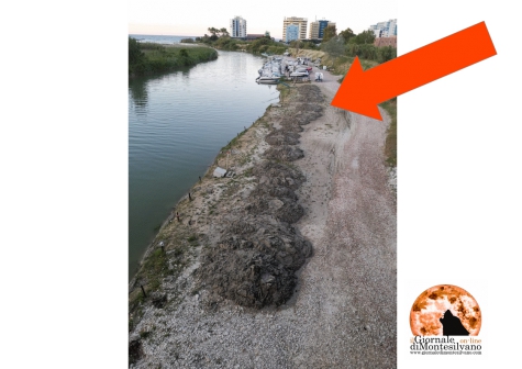 Sponda del Saline, sedimenti e fango