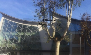 Pescara. Piazza Muzii presidiata da interforze fino alle 4 di mattina