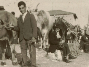 Ognissanti, la fiera di Paganica e l'asina di Peppeverde