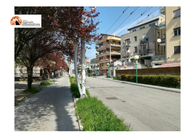 Bus elettrici lungo la Strada Parco. M5S chiede chiarezza e AVS parla di ribollita