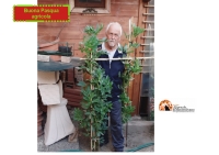 Augurio di una Santa Pasqua Agricola con le super piante di Doc Tina.