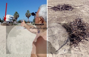 Il bagnante montesilvanese Pasquale del Zio e le fascine di legna pronte per essere sgombrate.