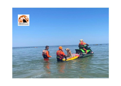 Salvataggio di un’intera famiglia a Pescara Sud, intrappolata sulla scogliera