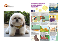 Capodanno/botti. Decalogo Oipa per mettere in sicurezza gli animali: video e fumetto