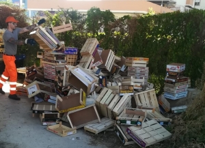 Montesilvano, Cilli annuncia attività indagine per abbandono rifiuti