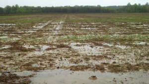 Chieti/alluvione 2015. Rimborso danni in arrivo