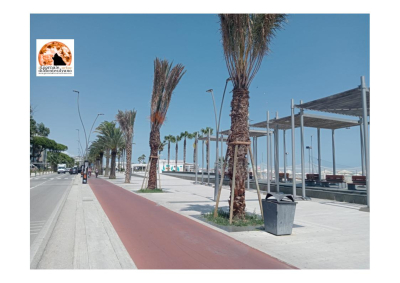 Torna “Sulle strade di Rosburgo” esposizione statica di auto, moto e pullman
