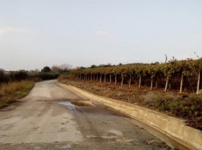 Fossacesia, ristagno d’acqua piovana in via Colle Pecorai. Urge intervento RFI