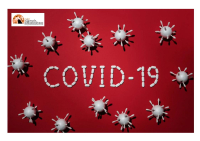 Coronavirus Abruzzo, andamento 6-12 maggio: 920 positivi e 911 guariti