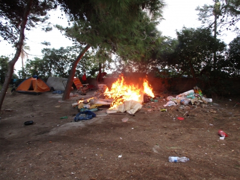 questa  mattina in pineta