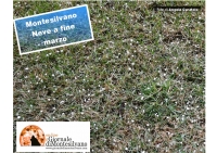 neve appena scesa a chicchi