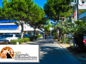 Silvi. Allarme punteruolo rosso sulle palme, "abbattere" palma incriminata