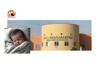 Montesilvano/PalaDeanMartin. XXXI Congresso Nazionale della Società Italiana di Neonatologia (SIN)