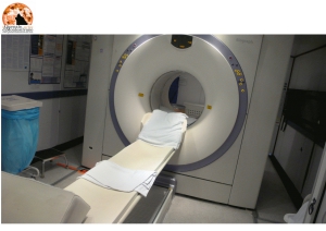 Chieti/Ospedale. PET-TAC 500mila euro l'anno. Marcozzi: "Inaccettabile"
