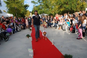 Montesilvano, Festa degli animali al Parco della Libertà