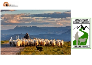 Regio Tratturo Celano Foggia, riti e feste intorno alla transumanza