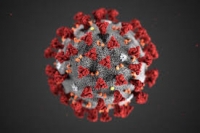 Coronavirus/Abruzzo. Oggi 58 casi in più.