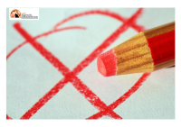 Elezioni Regionali 2025: tra maretta interna e candidati in bilico – focus su Lazio e Campania