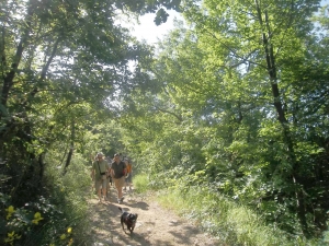 la passeggiata di montagna