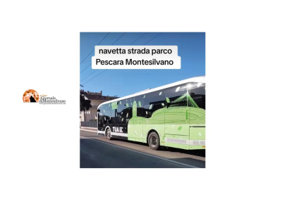 Strada Parco, Tar accoglie istanza cautelare sui bus elettrici: collaudi mancanti.