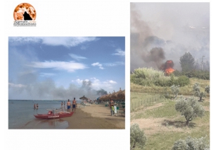 Città Sant’Angelo, donazione per la pineta di Pescara.