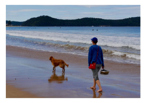 https://unsplash.com/photos/persona-che-cammina-con-un-golden-retriever-adulto-in-riva-al-mare-FwoqBEFCFdk 