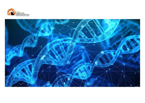 Embrioni umani sintetici con cellule staminali