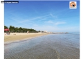 Pescara/affidamento spiagge libere. Paoni Saccone a Rifondazione; "tutto a costo zero per l’amministrazione"