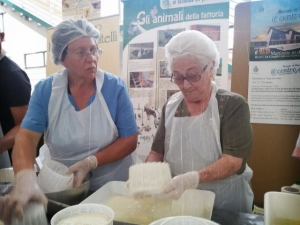 Pescara, rilancio mercati e nuove opportunità di lavoro a San Donato