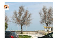 Federalberghi Pescara chiede sosta a pagamento sul tratto del lungomare in estate