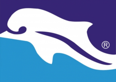 delfino Pescara