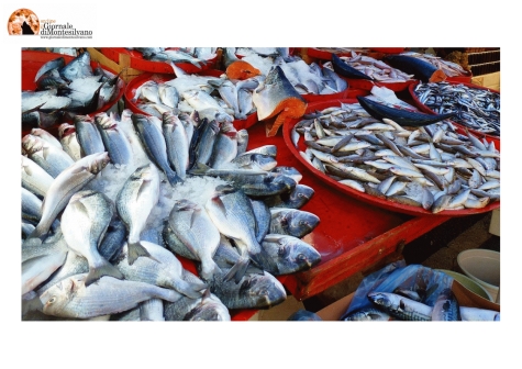 Abruzzo, parte il fermo biologico dal 16 agosto