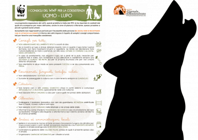 Lupi a Montesilvano colle: il WWF ricorda alcune buone pratiche per una convivenza possibile