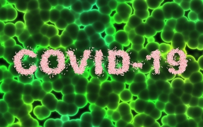 Coronavirus. Oggi 683 decessi