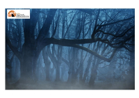 Meteo Halloween con foschie e nebbie