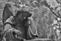 Giulianova, 4 maggio: riapertura cimitero